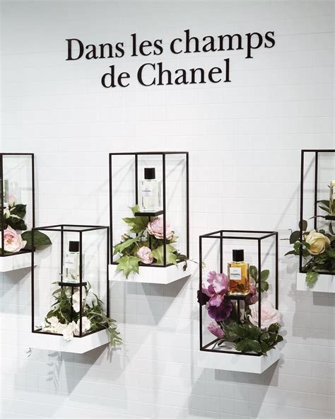 les champs de chanel|chanel sas.